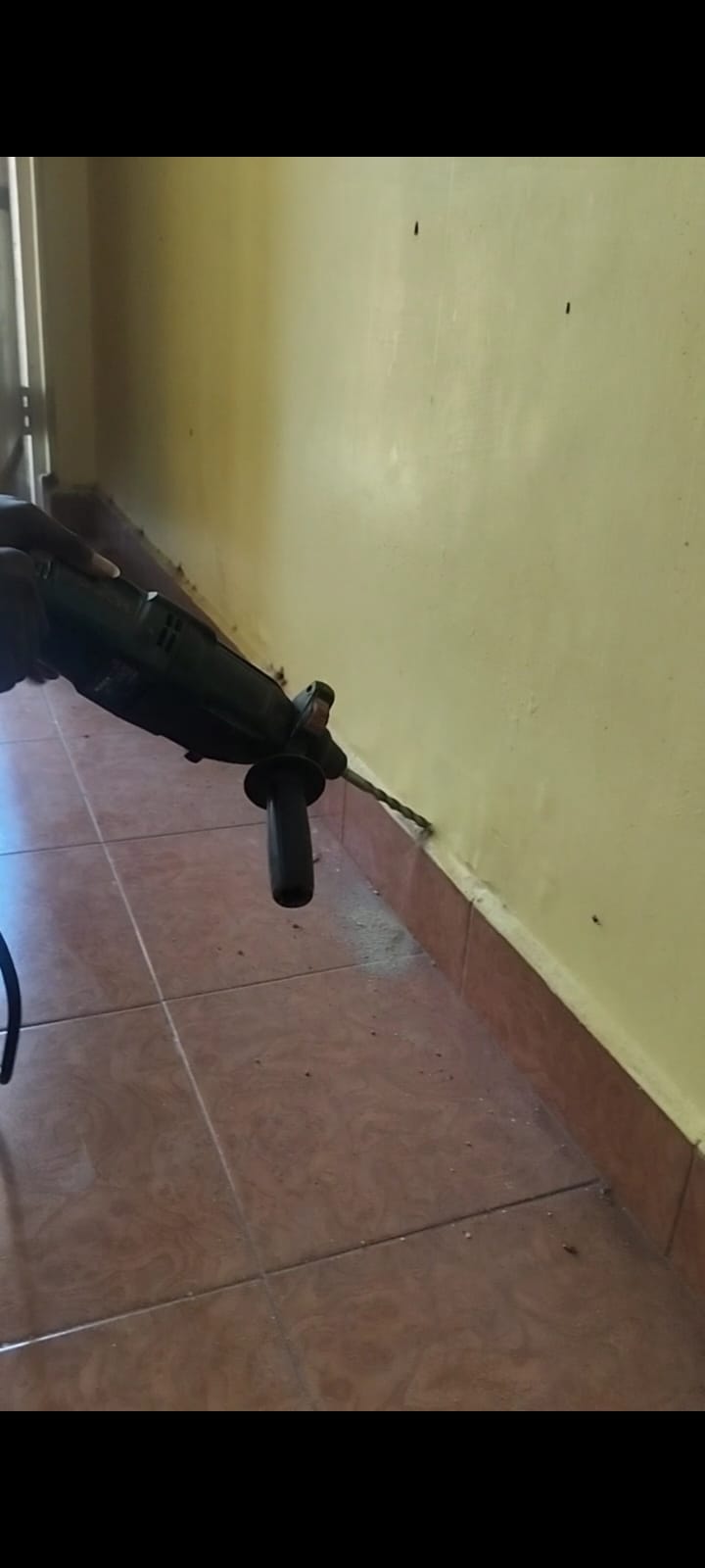 Pest Control Work 2