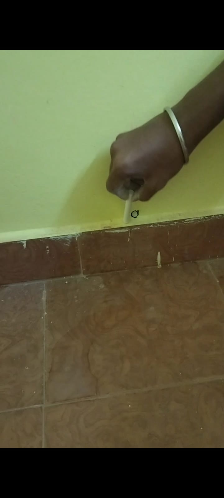 Pest Control Work 3