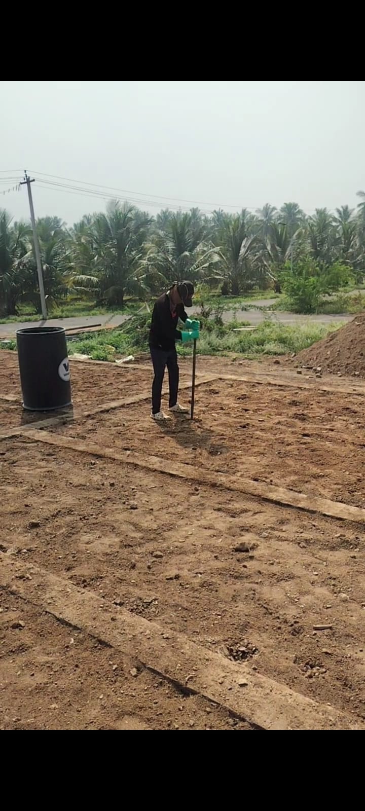 Pest Control Work 4