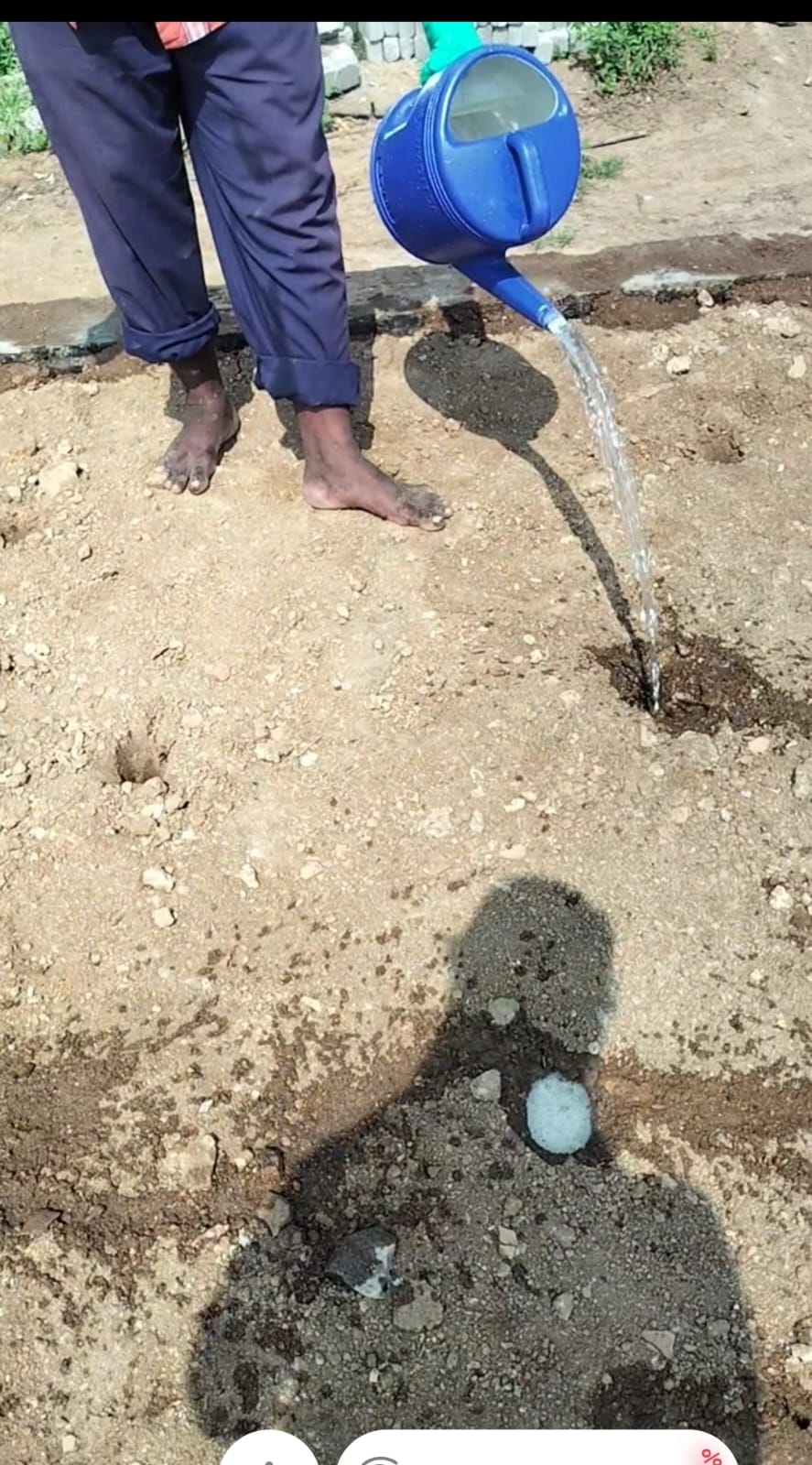 Pest Control Work 5
